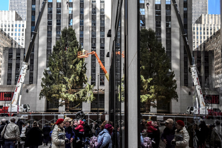 Image: Spectators watch as workers raise the Rockefeller Center Christmas tree in New York City