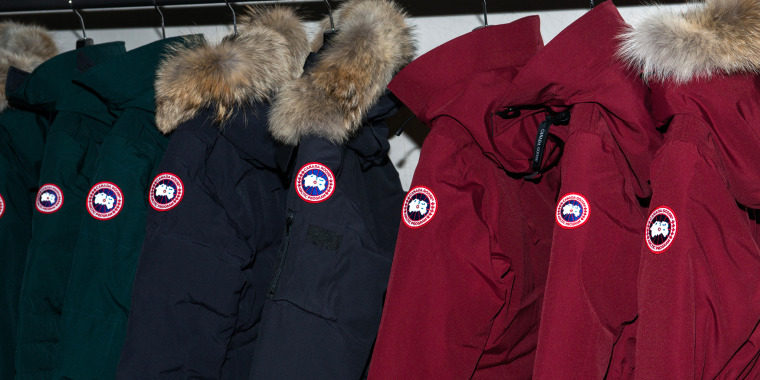 Canada Goose