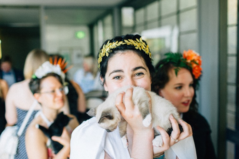 A couple who had kittens at their wedding