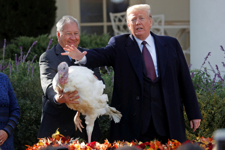 Image: U.S. President Trump pardons Thanksgiving turkey \"Peas\" during ceremony at White House in Washington