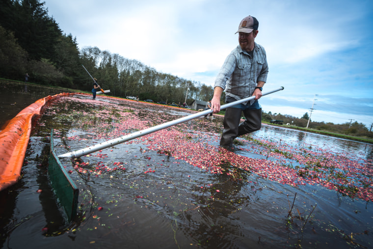 The additional labor associated with growing organic cranberries drives up the cost. 