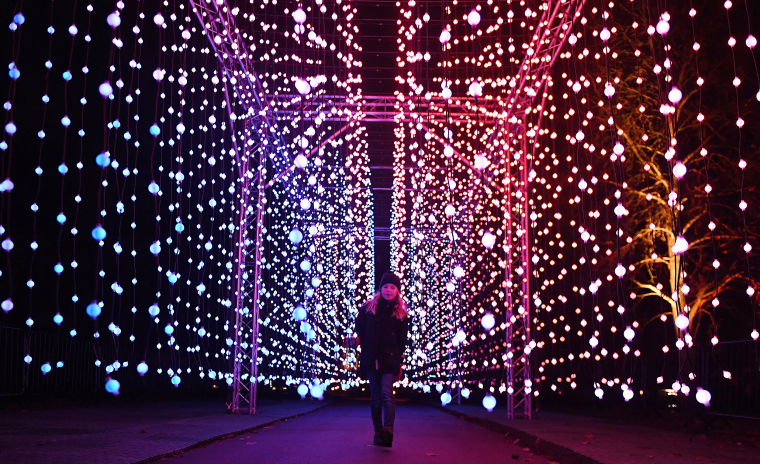 Image: Kew Gardens unveils Christmas illumiunated trail in London