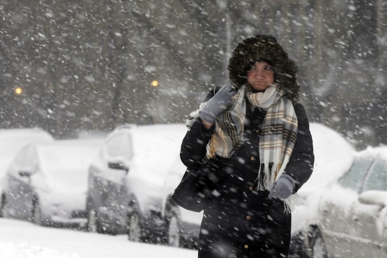 Image: A commuter walks to a bus stop as snow falls in Chicago 