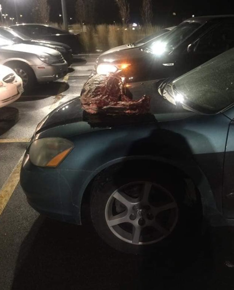 A deer carcass found on the hood of a car outside of a YMCA in St. Cloud, Minnesota.