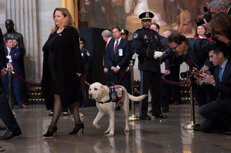 Sully the dog at U.S. Capitol to pay respects to late President George H.W. Bush