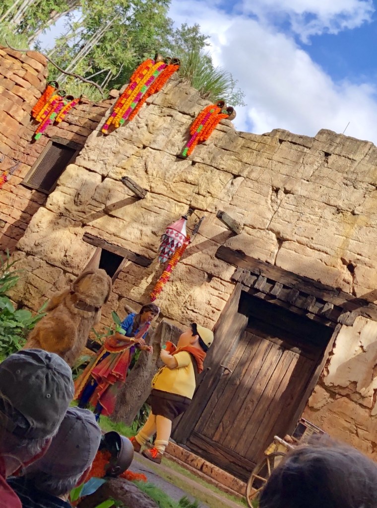 Disney's live bird show, UP! A Great Birding Adventure, is themed around Diwali, the Indian festival of lights, during the holiday season.
