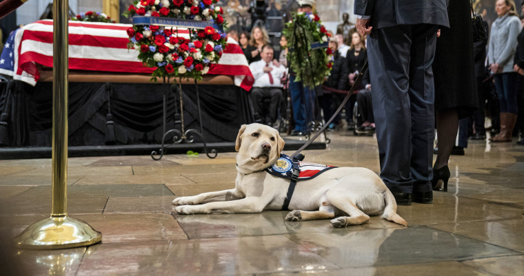 Image: Washington DC In Mourning For Late President George H.W. Bush