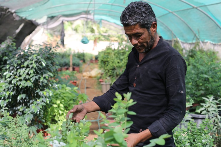 Image: Organic farmer Riyadh Yousef Marror at his farm in Jordan