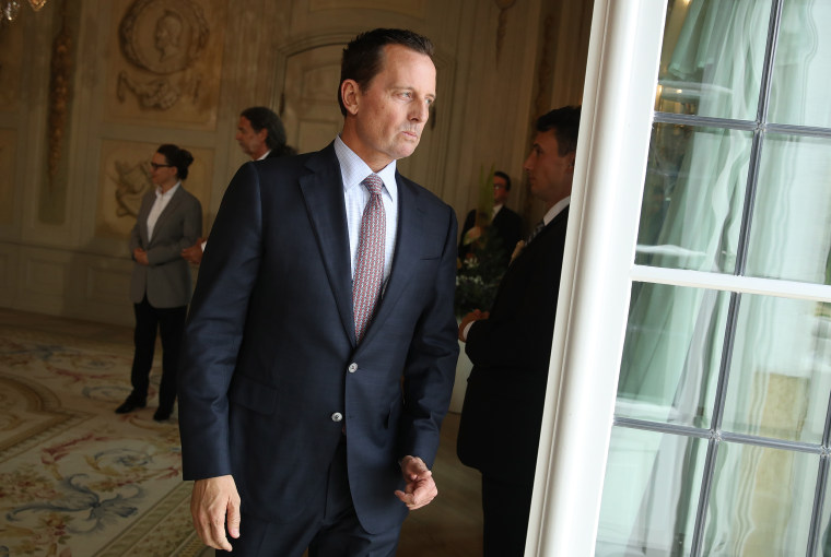 U.S. Ambassador Richard Grenell attends a reception for the international diplomatic corps hosted by German Chancellor Angela Merkel