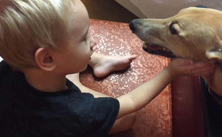 Finn enjoys being petted by the children at Riley's Children Hospital.