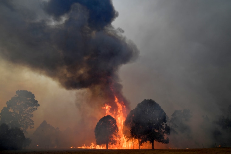 Image: Smoke and flames rise from burning trees near the town of Nowra in New South Wales on Dec. 31, 2019.