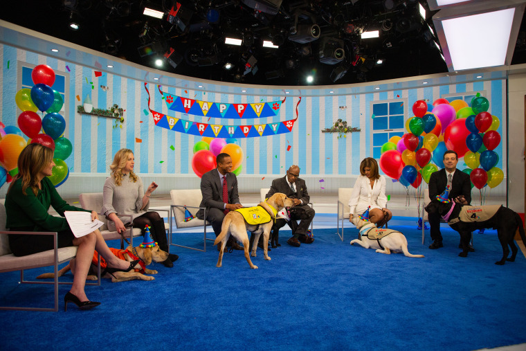 Puppy party cheap today show