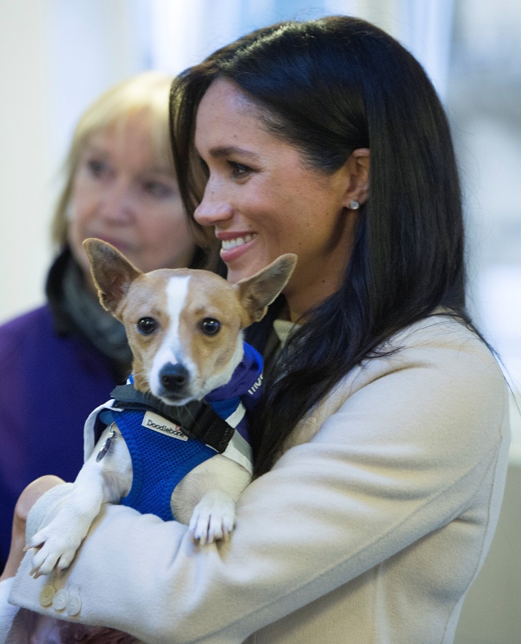 Image: Meghan, Duchess of Sussex visits the animal welfare charity Mayhew in London