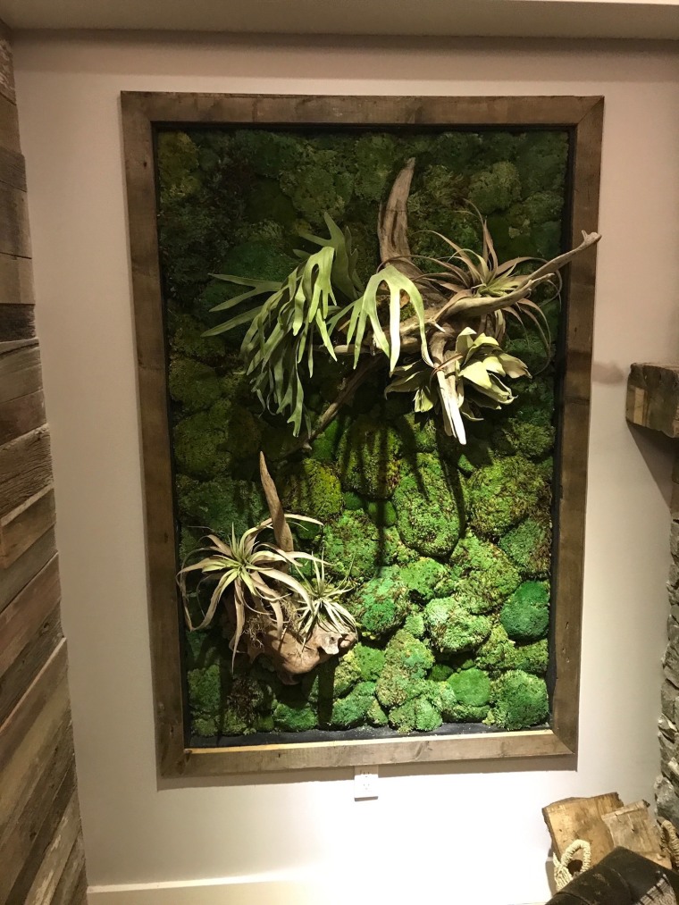Craig Melvin's moss wall