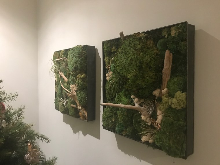 Craig Melvin's additional moss wall