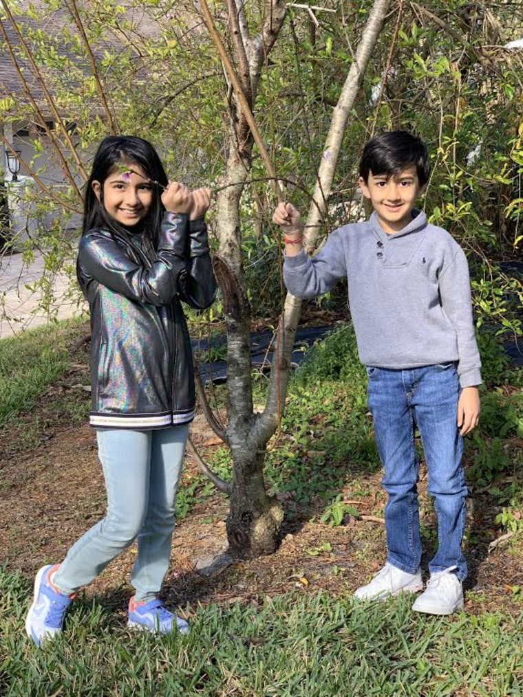 Vernic Popat's kids with the tree they planted on Martin Luther King Day