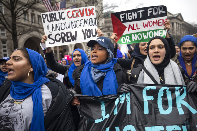 Image: Women's March in Washington DC