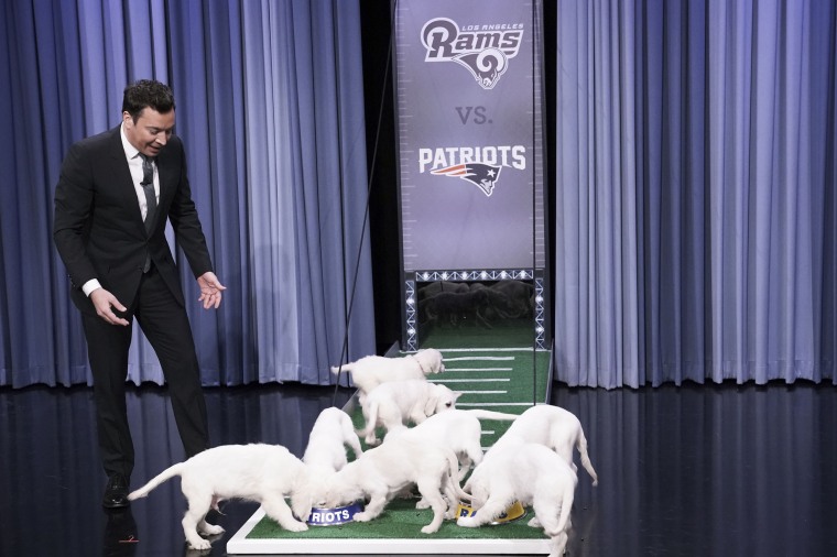 Jimmy fallon sale puppy bowl