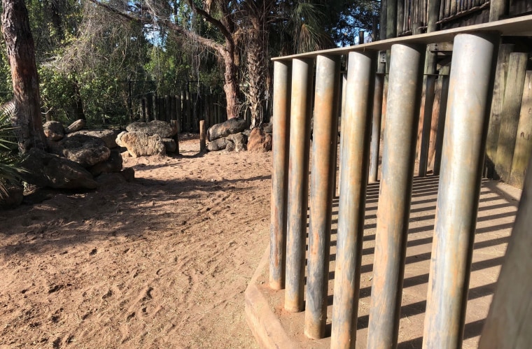 Image: The child fell through these bars at the rhino enclosure at the Brevard Zoo in Florida on Jan. 1, 2019.