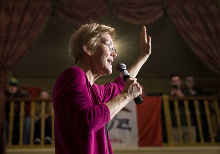 Image: Senator Elizabeth Warren, D-Mass., speaks at a campaign event in Iowa on Jan. 5, 2019.