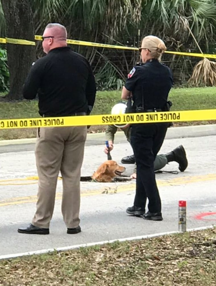Image: A dog investigates where a tunnel was found in Pembroke Pines, Florida, on Jan. 30, 2019.