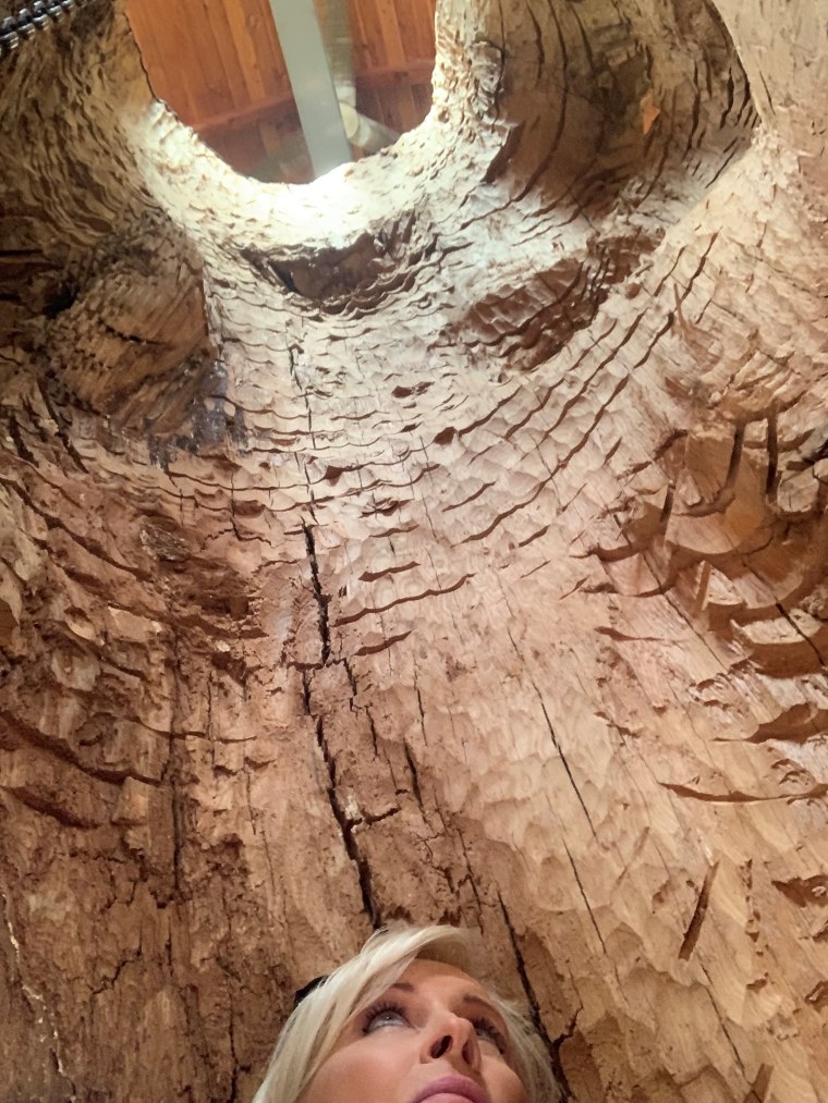 Mika Brzezinski stands inside one of her mother's sculptures. Emilie Brzezinski is known for her monumental wood sculptures.