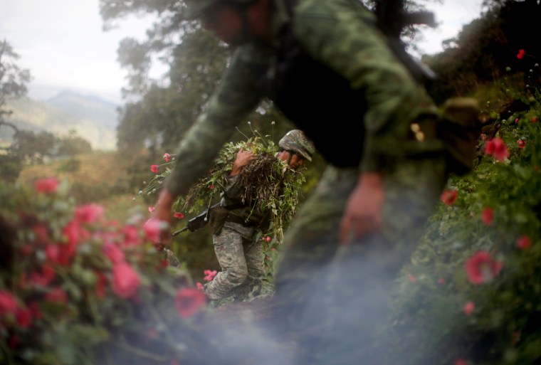 Image: Soldiers cut opium poppies as they destroy a field on the plantation in the Sierra Madre del Sur on Aug. 25, 2018.
