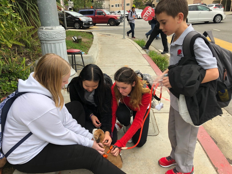 Morales' son Luke shows off Obi at the bus stop.