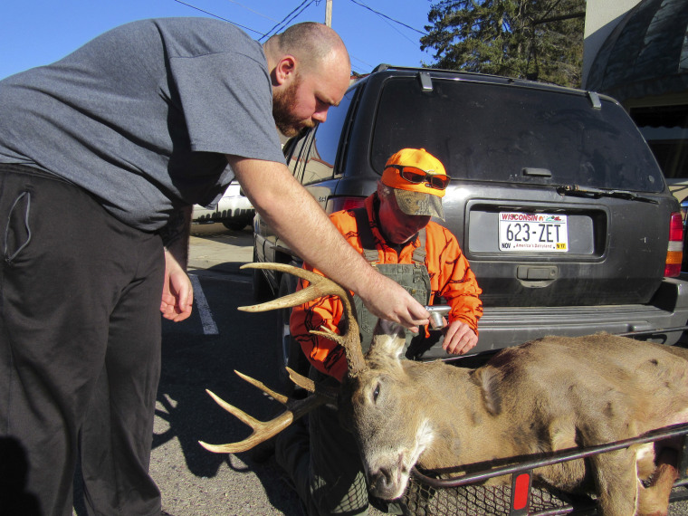 Daniel Crook, right, looks at a photo Dan Ruhland took of Crook's nine point deer  in downtown Plain, Wisconsin, on Nov. 21, 2016.