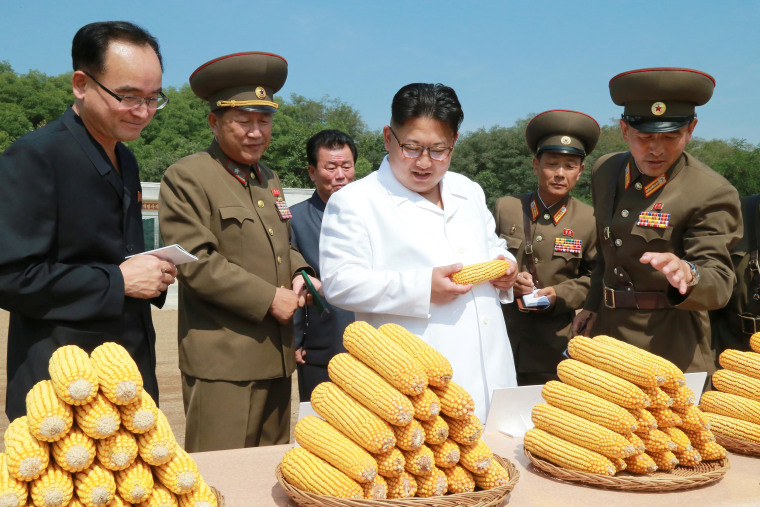 North Korean leader Kim Jong Un provides field guidance to Farm No. 1116 under KPA Unit 810, in this undated photo released by North Korea's Korean Central News Agency (KCNA) in Pyongyang