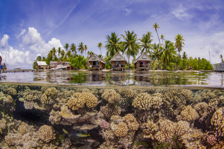 Up & Coming Underwater Photographer of the Year 2019: 'Paradise'