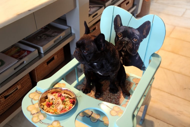 The doggie high chair one fan constructed and sent to Martha Stewart.