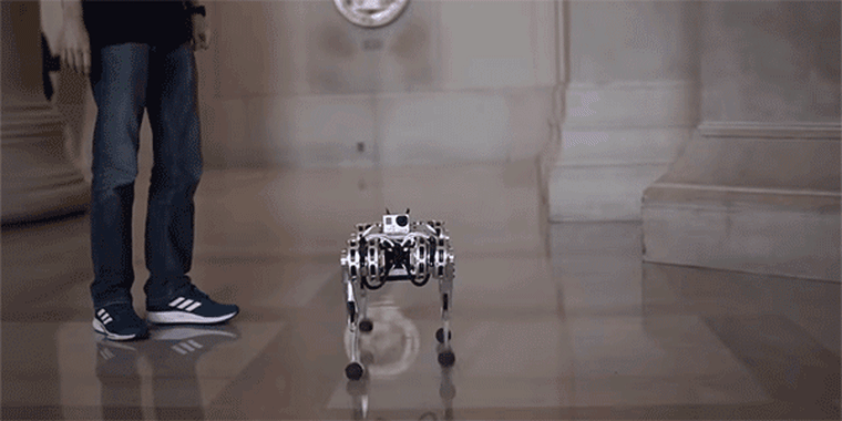 MIT'S new mini cheetah robot is the first four-legged robot to do a backflip.