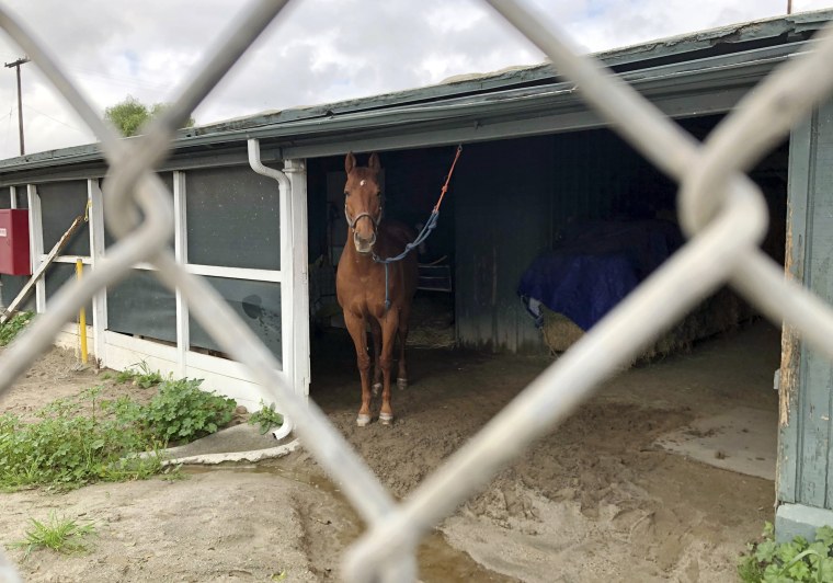 Image: Santa Anita Park