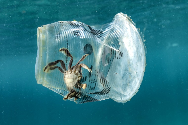Image: Plastic Waste in Verde Island, Philippines