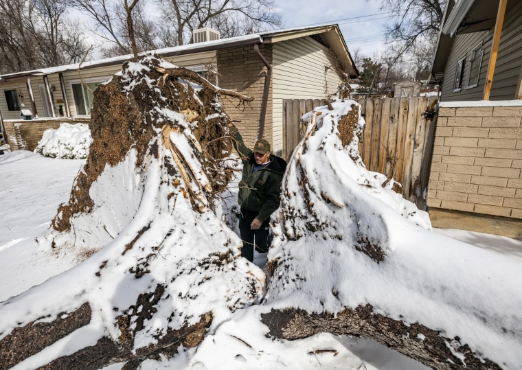 Image: Bomb Cyclone