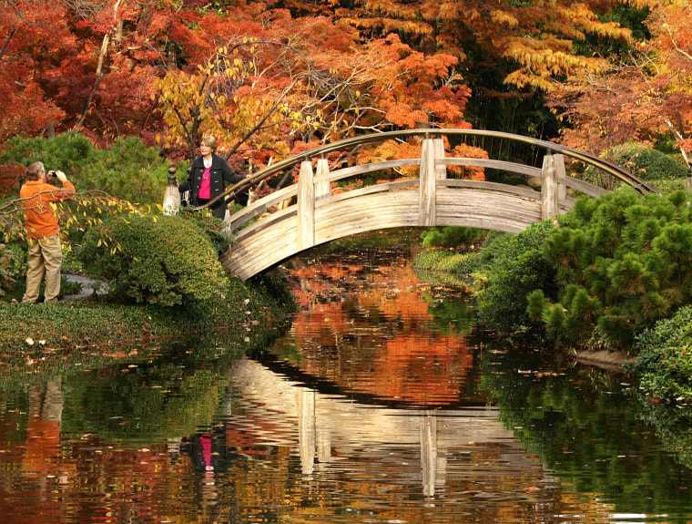 A couple visiting the Japanese gardens in Fort Worth