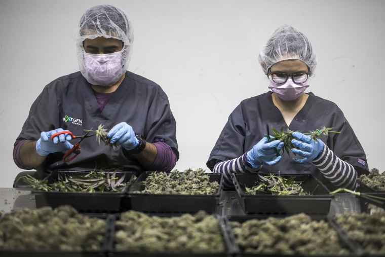 Image: Employees on the production line at NextGen Pharma.