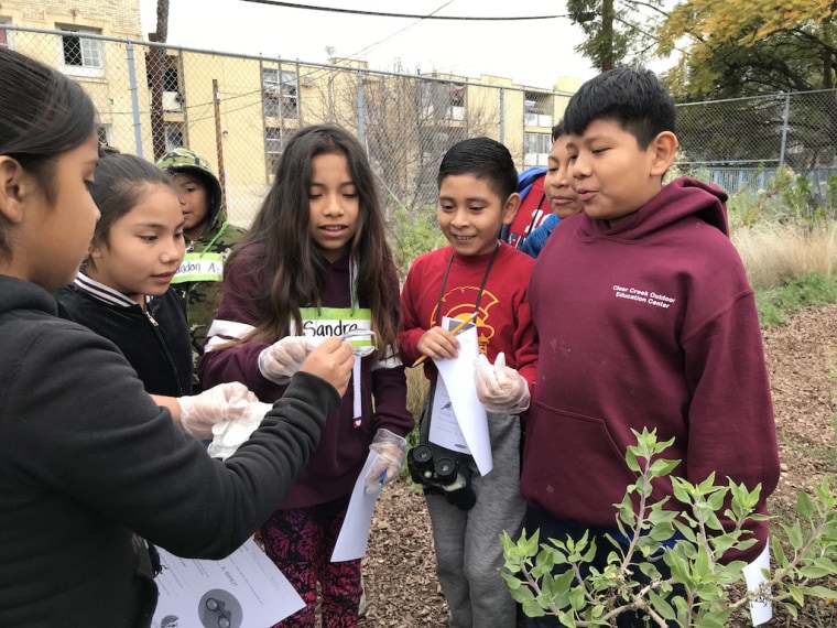 At Esperanza Elementary School in Los Angeles, students use their school garden to examine and identify different types of vegetation.