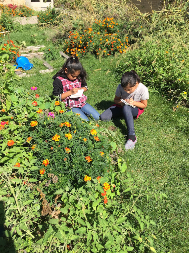 Fourth-graders at Ashland Park-Robbins School write questions in their school garden.
