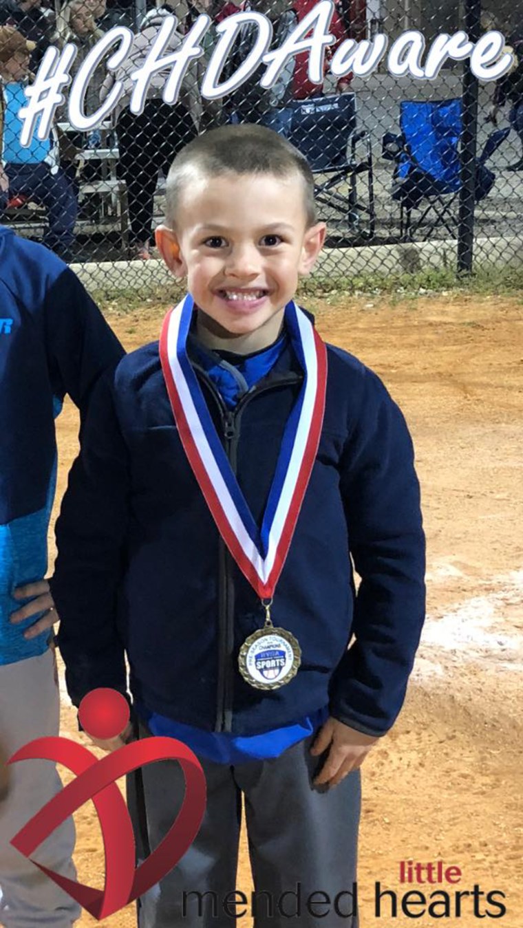 Boy dies taking baseball pictures