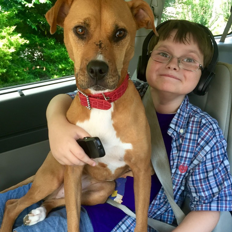 Linda Hickey's son Jonny has autism. He's pictured here with his beloved rescue dog, Xena.