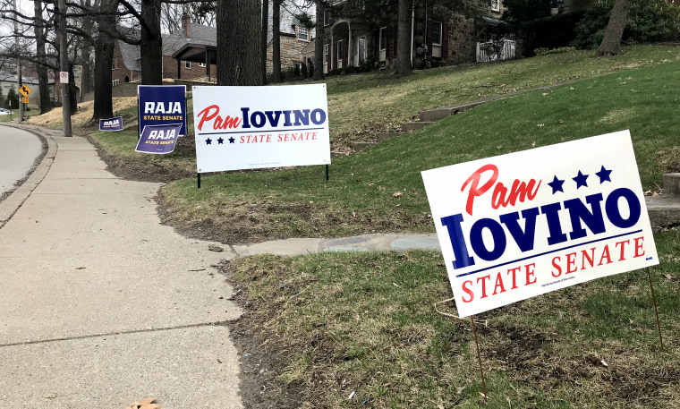 Campaign signs for Democrat Pam Iovino and Republican D. Raja line the streets in Mt. Lebanon, Pennsylvania on March 30, 2019.
