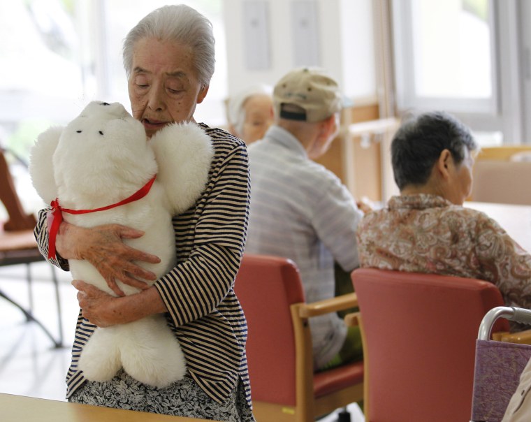 Robotic pets for store elderly