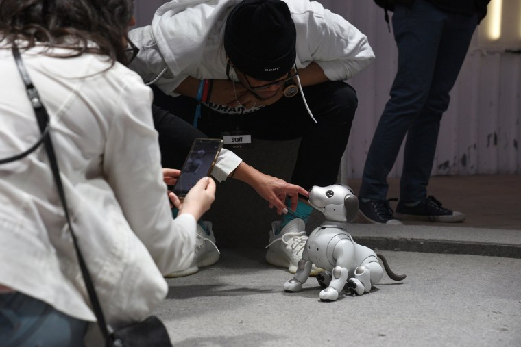 Could this emotional support robot dog help dementia patients?