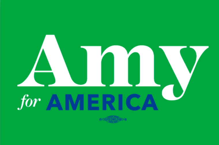 Details about   Amy Klobuchar Hebrew 2020 Democratic Primary Logo Pinback Button Round