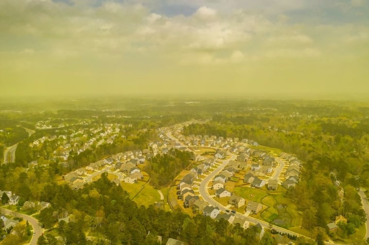 Image: An aerial view shows pollen haze tinting the environment yellow over an area in Durham, North Carolina