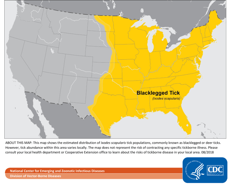 The estimated distribution of the Ixodes scapularis tick, often known as the blacklegged or deer tick. Blacklegged ticks bite most often in spring, summer and fall, although adult ticks can bite in winter when the temperature is above freezing. 