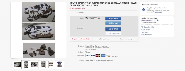 Image: Baby T-Rex fossil Ebay