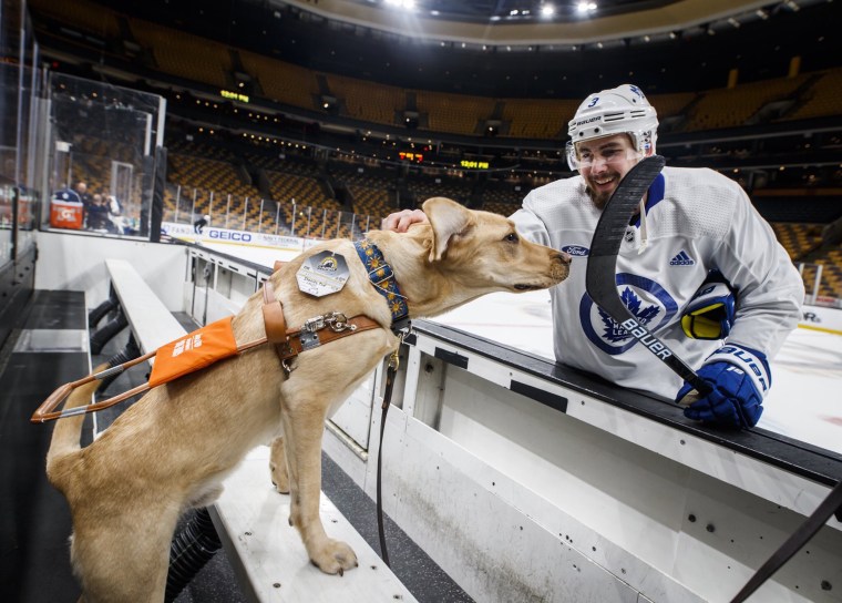 TODAY show's puppy with a purpose, Sunny, as NHL correspondent for NBC Sports